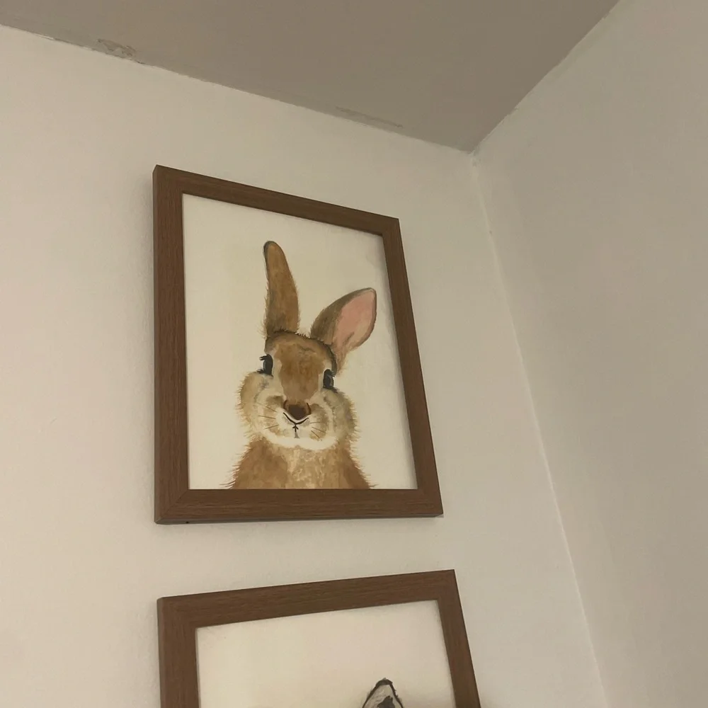 Set of 8 Framed Baby Animal Art Prints